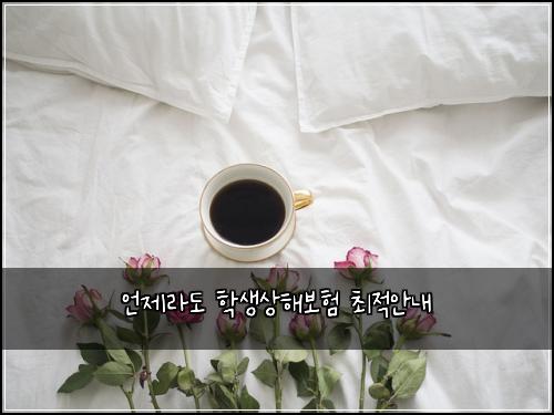 언제라도 학생상해보험 최적안내 