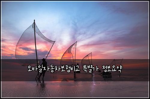 모바일자동차보험비교 특별가 정보요약