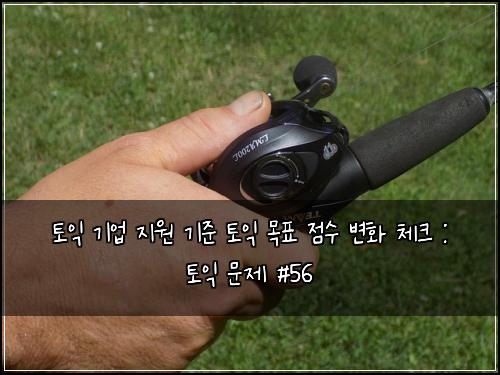 토익 기업 지원 기준 토익 목표 점수 변화 체크 : 토익 문제 #56