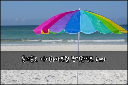 롯데손보 아이화재보험 편리한정보  best