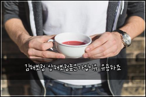 김해보험 상해보험높은가입이유 유용하죠