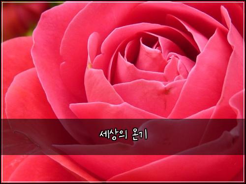 세상의 온기