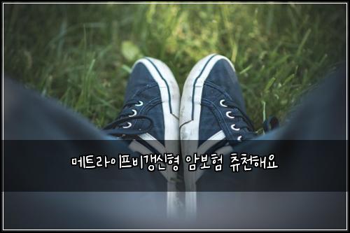 ๋ฉํธ๋ผ์ดํ๋น๊ฐฑ์ ํ ์๋ณดํ ์ธ์ฒํด์