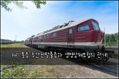 허리 통증 추간판탈출증과 생명상해보험의 관계
