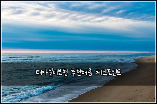 태아실비보험 추천해욤  체크포인트