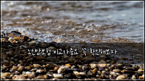 노인암보험 비교가중요  꼭 확인해보자