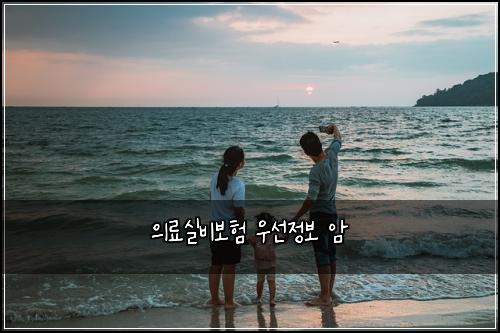 의료실비보험 우선정보  암