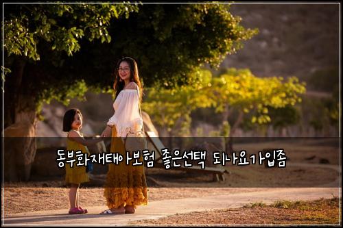 동부화재태아보험 좋은선택  되나요가입좀