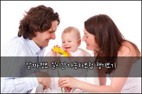 알짜정보 실시간자동차보험 챙겨보기