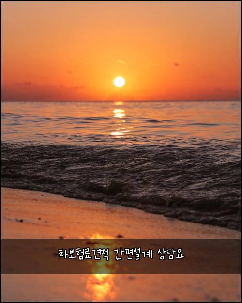 차보험료견적 간편설계 상담요