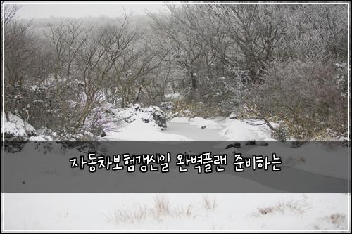 자동차보험갱신일 완벽플랜 준비하는