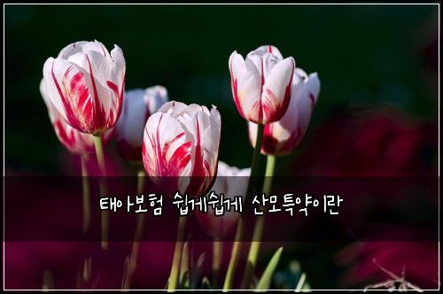 태아보험 쉽게쉽게  산모특약이란