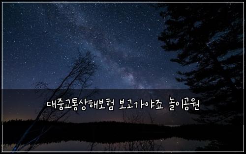 대중교통상해보험 보고가야죠  놀이공원