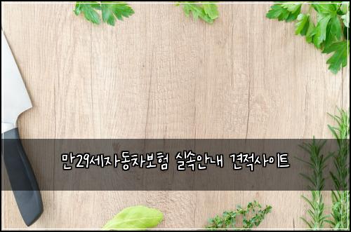 ๋ง29์ธ์๋์ฐจ๋ณดํ ์ค์์๋ด ๊ฒฌ์ ์ฌ์ดํธ