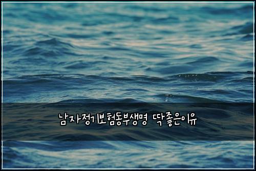 남자정기보험동부생명 딱좋은이유