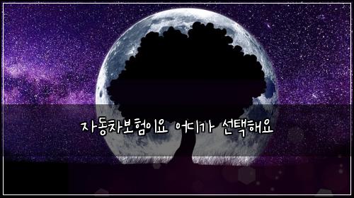 자동차보험이요 어디가 선택해요