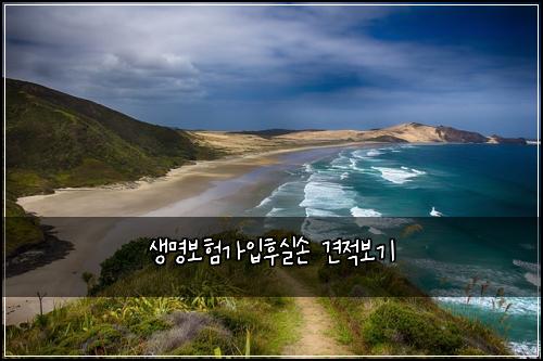 생명보험가입후실손 견적보기