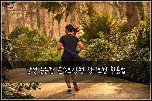 남성 든든한 순수보장형 정기보험 활용법