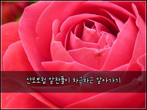 산모보험 알찬풀이  차근차근 알아가기
