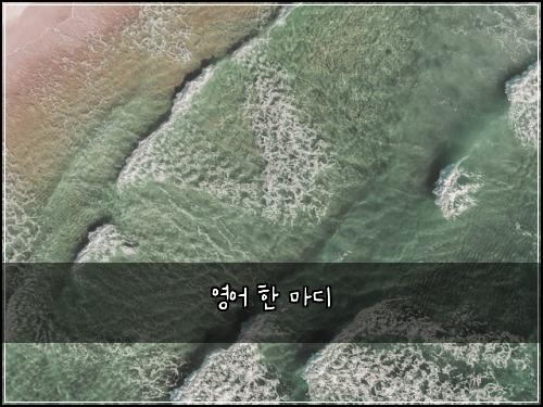 영어 한 마디