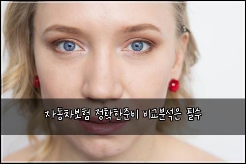 μλ차보ν μ ννμ€λΉ λΉκ΅λΆμμ νμ