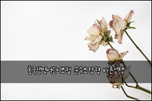 홍국생명어린이보험 순수보장형  바른선택