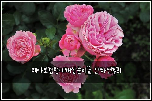 태아보험현대해상준비끝 안하면후회