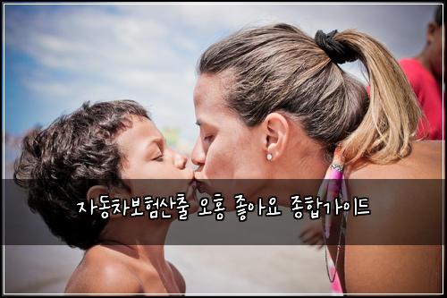 자동차보험산출 오홍 좋아요 종합가이드
