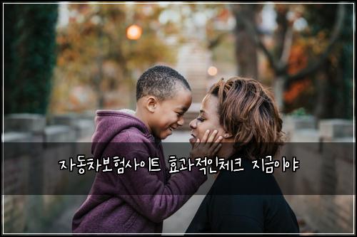 자동차보험사이트 효과적인체크 지금이야