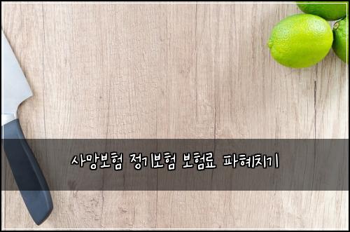 ์ฌ๋ง๋ณดํ ์ ๊ธฐ๋ณดํ ๋ณดํ๋ฃ ํํ์น๊ธฐ