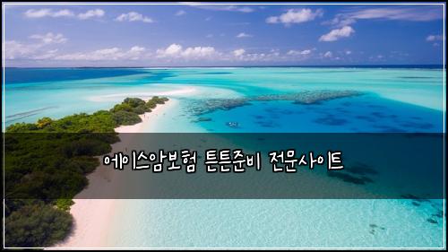에이스암보험 튼튼준비  전문사이트