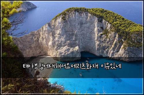 태아보험에대해서요메리츠화재 이유있네