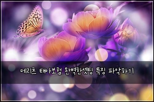 메리츠 태아보험 완벽한셋팅  특징 파악하기
