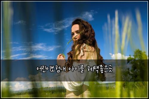 어린이보험내 아이를 혜택좋은곳