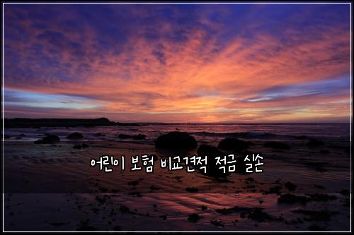 어린이 보험 비교견적  적금 실손
