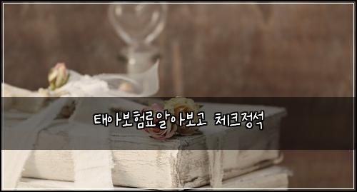 태아보험료알아보고 체크정석