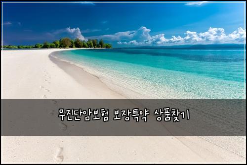 무진단암보험 보장특약  상품찾기
