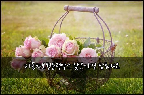 자동차보험블랙박스 낮은가격 맞춰져요