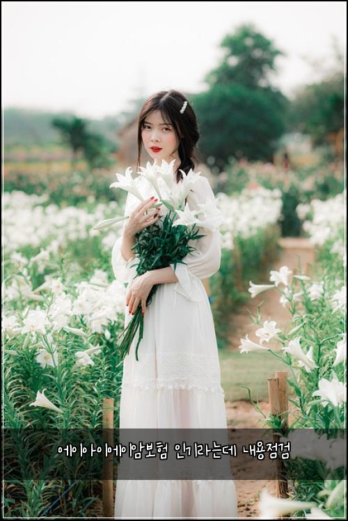 에이아이에이암보험 인기라는데  내용점검