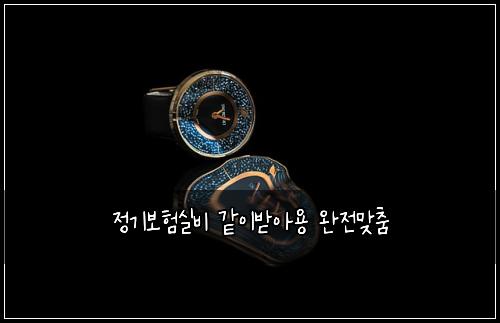 정기보험실비 같이받아용 완전맞춤