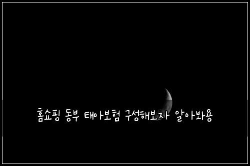 홈쇼핑 동부 태아보험 구성해보자  알아봐용