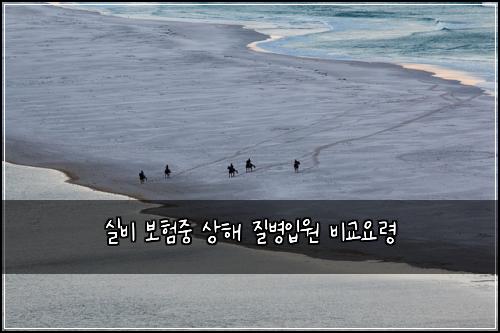 실비 보험중 상해 질병입원 비교요령