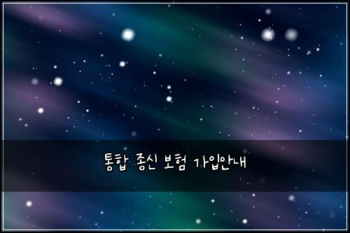 통합 종신 보험 가입안내 