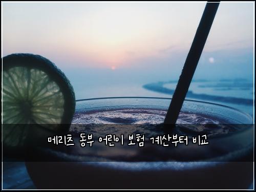 메리츠 동부 어린이 보험 계산부터  비교