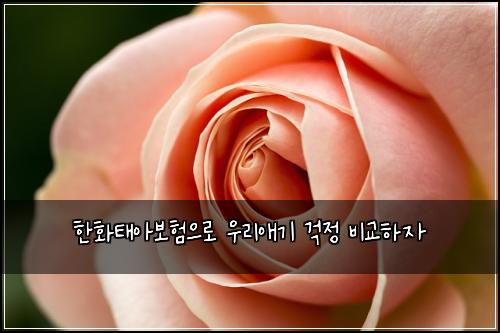 한화태아보험으로 우리애기 걱정 비교하자