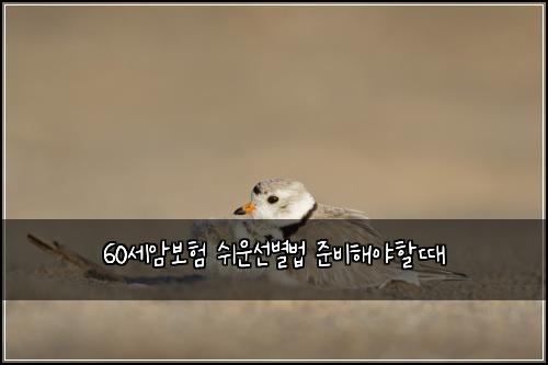 60세암보험 쉬운선별법  준비해야할때