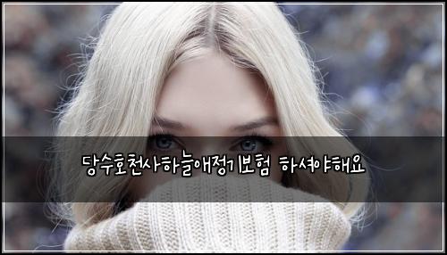 당수호천사하늘애정기보험 하셔야해요 