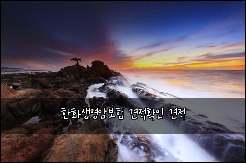 한화생명암보험 견적확인  견적