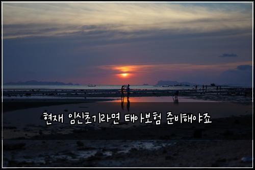 현재 임신초기라면 태아보험 준비해야죠