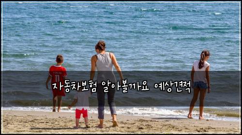 자동차보험 알아볼까요  예상견적